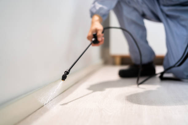 Licensed Termite Control service in Sumter County County, SC - Nex Pest Control