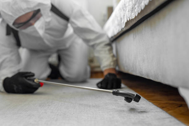 Professional Termite Control technician working in Sumter County County, SC